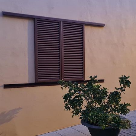 Agüimes Casa Mamatita 빌라 외부 사진